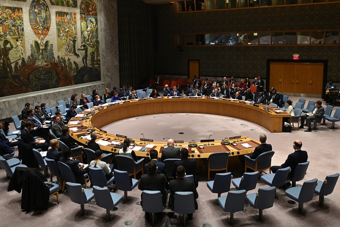 Le Conseil de sécurité de l'ONU se réunit après la trêve entre Israël et le Jihad islamique